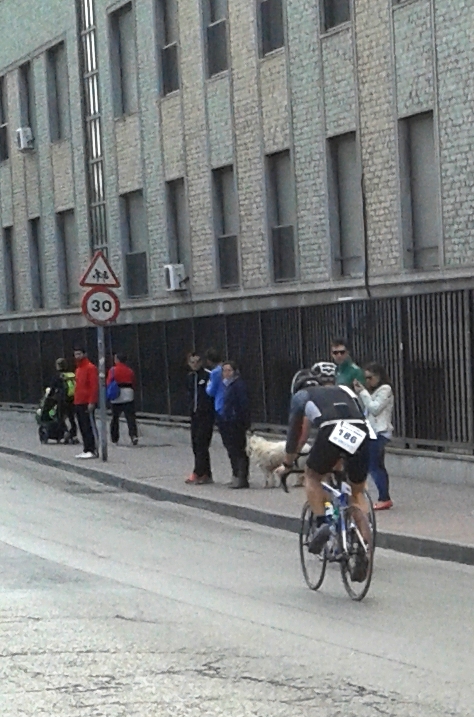 Duatlon de Murcia 2014