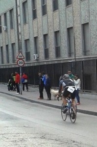 Duatlon de Murcia 2014
